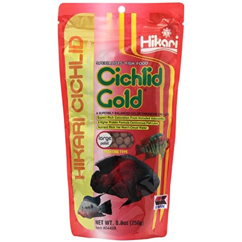 Hikari 8.8-Ounce Cichlid Gold Floating Pellets for Pets, Large