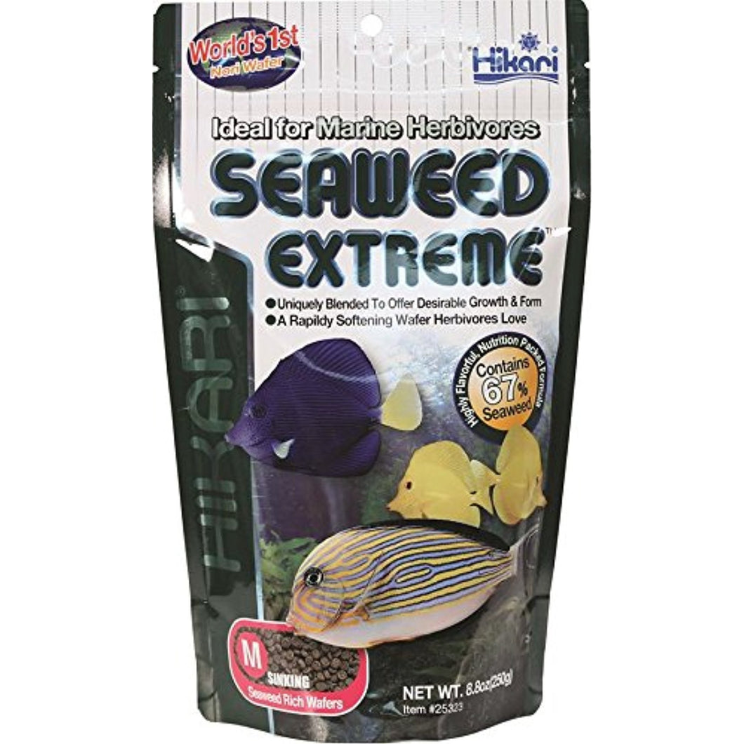 Hikari Usa Inc AHK25323 Seaweed extreme 8.8-Ounce