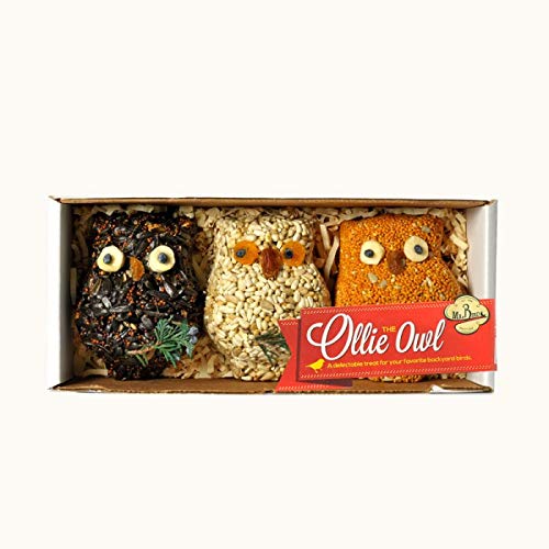Mr. Bird 3-Pack Ollie Owl Bird Seed Ornaments